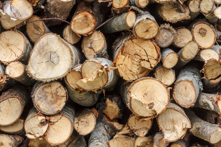 Pile of fire woodの写真素材