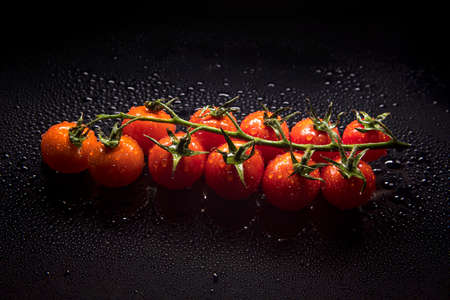 Fragrant bright red tomatoes on a branchの写真素材