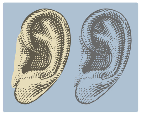 Human ear in engraving styleのイラスト素材