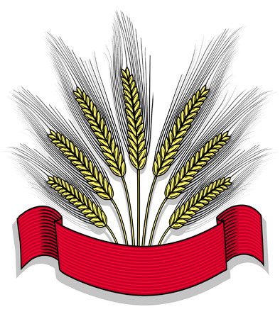 Bunch of wheat with ribbonのイラスト素材