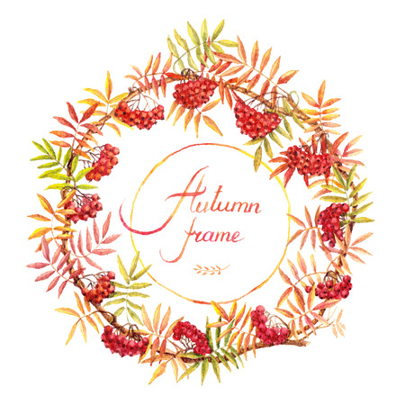 Round frame with autumn rowan branches. Berries and leaves. Vectorized watercolor drawing.のイラスト素材