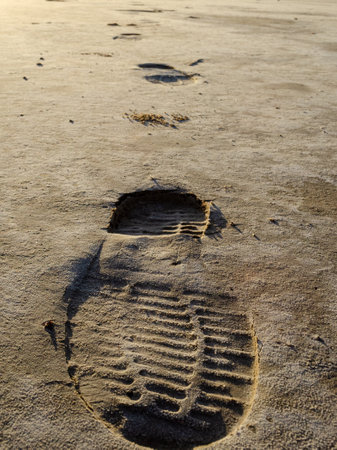 Boot footprint in the wet sand. White traces of salt on the sand.の写真素材