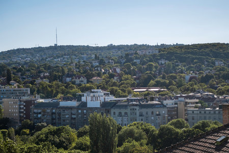 Panoramic view of a hillside city district with residential buildings, lush trees, and clear blue sky. Urban landscape blending nature and architecture in a peaceful summer setting.の写真素材