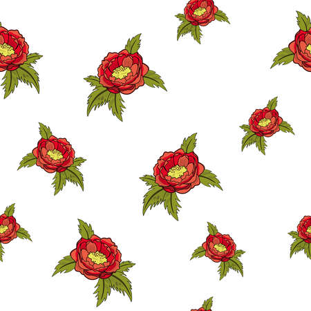 Seamless red peony pattern. Flowers on white backgroundのイラスト素材