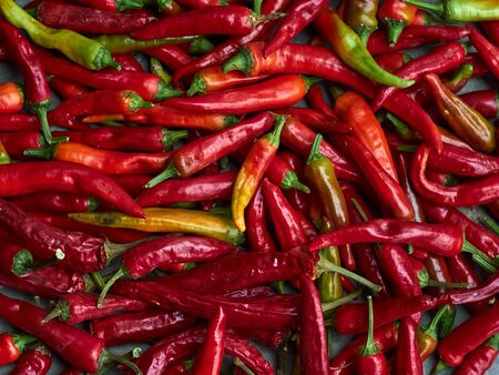 Red chili pepper background.の写真素材