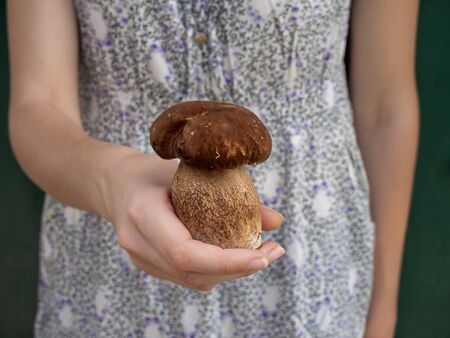 The girl holds a fresh porcini mushroom on a green background.の写真素材
