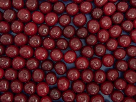 Red cherry background.の写真素材
