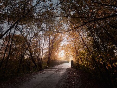 Beautiful romantic alley in the autumn park with colorful trees and sunlight.