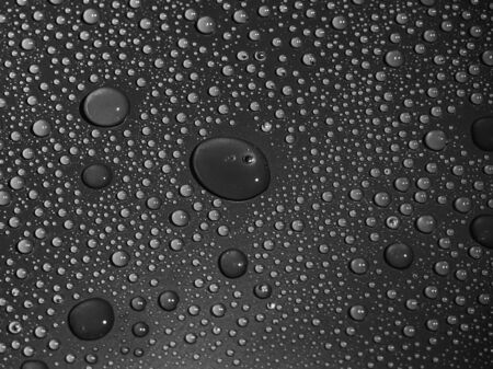 Water drops on grey background.の写真素材
