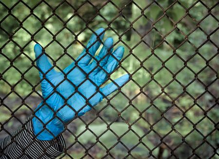 Gloved hand on the fence.の写真素材