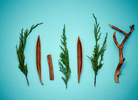 Christmas, winter, new year concept. Flat lay, top view, copy space.の写真素材