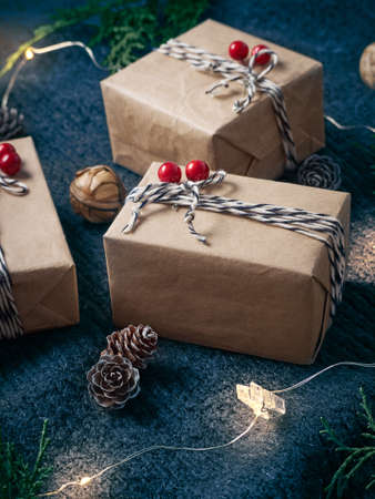 Christmas, winter, new year concept.