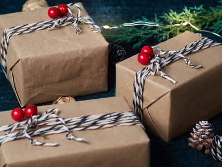 Christmas, winter, new year concept.