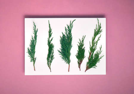 Mockup Christmas greeting card, flatlay.