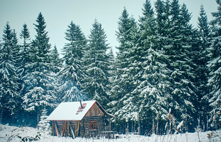 Scenic mountain landscape in the winter season. Carpathian, Ukraine.
