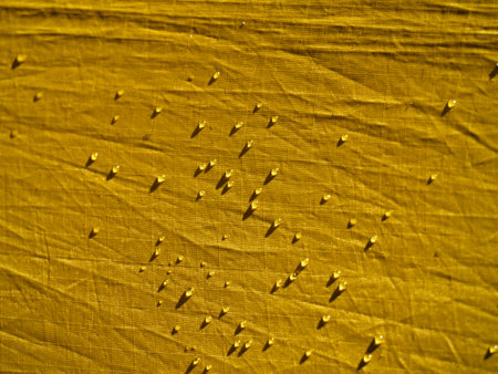 Water drops on waterproof membrane fabric. Detail view of texture of yellow synthetic waterproof...