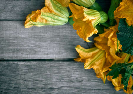 Zucchini flowers on a wooden backgroundの写真素材