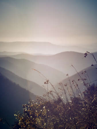 Beautiful sunset in the mountains.