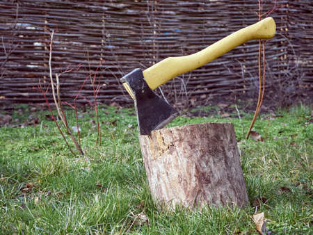 Man chopping firewood with an ax