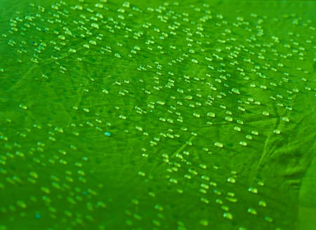 Water drops on waterproof membrane fabric. Detail view of texture of green synthetic waterproof cloth. Morning dew on tent.の写真素材