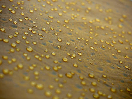 Water drops on yellow fabric.の写真素材