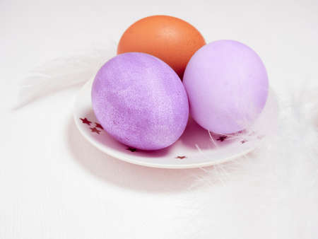 Colored eggs on plate with on white background. Copy space. Easter concept.