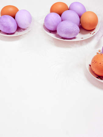 Colored eggs on plate with on white background. Copy space. Easter concept.の写真素材