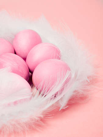 Easter eggs and feathers on pink background. Happy Easter concept.の写真素材