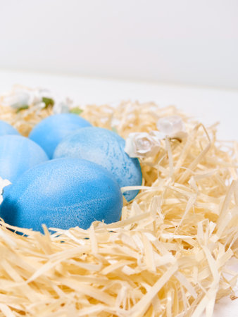 Easter eggs in a nest on a white background.の写真素材