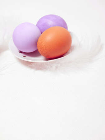 Colored eggs on plate with on white background. Copy space. Easter concept.
