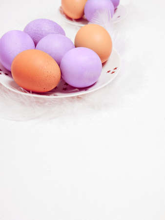 Colored eggs on plate with on white background. Copy space. Easter concept.の写真素材