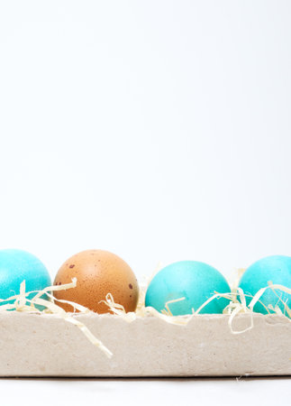 Easter eggs in a carton box on a white background.の写真素材