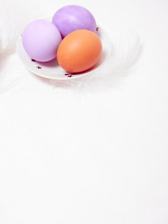 Colored eggs on plate with on white background. Copy space. Easter concept.の写真素材