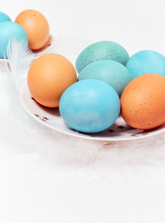 Colored eggs on plate with on white background. Copy space. Easter concept.の写真素材