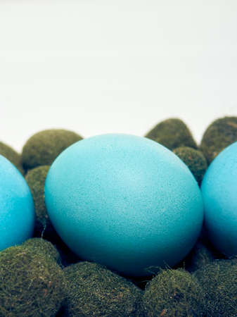 Easter eggs in a carton box on a white background.の写真素材