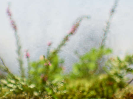 Blurred green natural fresh background.の写真素材