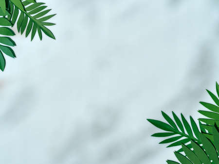 Summer background with green paper tropical leaves.の写真素材