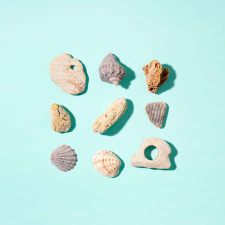 Summer concept with seashells and stones on blue background. Top view, flat lay.の写真素材