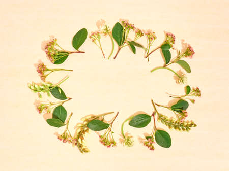 Frame of summer flowers. Flat lay, copy space, top view.の写真素材