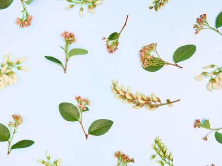 Summer flowers pattern on a blue background. Top view, flat lay.の写真素材