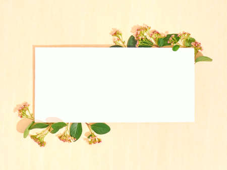 Blank paper with summer flowers. Flat lay, copy space, top view.の写真素材