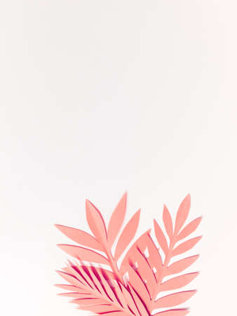 Summer background with colorful paper tropical leaves.の写真素材