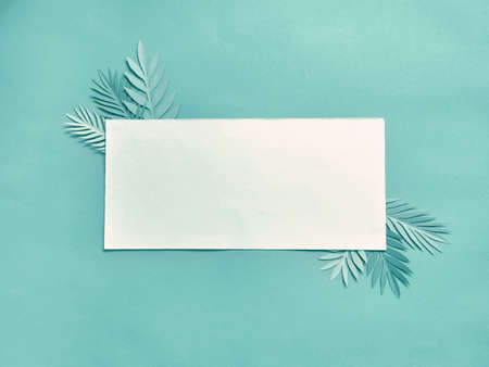 Summer background with colorful paper tropical leaves and paper blank.の写真素材