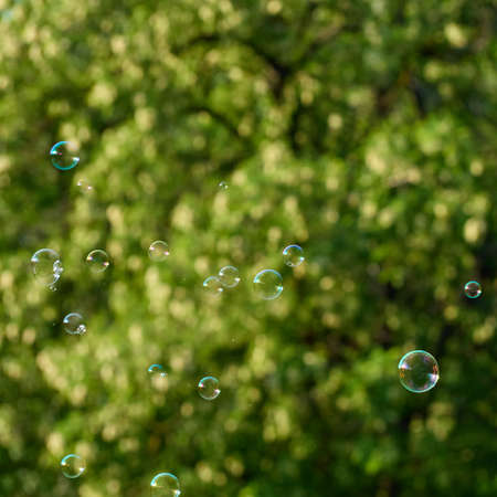 Soap bubbles on green nature background.の写真素材