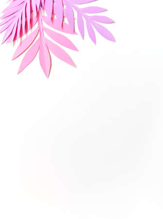 Summer background with colorful paper tropical leaves.の写真素材