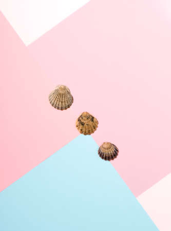 Summer concept with seashells. Top view, flat lay.の写真素材