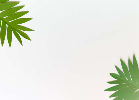 Summer background with colorful paper tropical leaves.