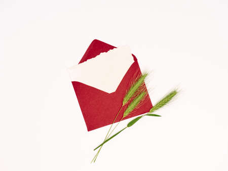Green spikelets with blank paper for text and envelope.の写真素材