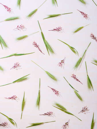 Floral pattern background of field flowers. Top view, flat lay.の写真素材