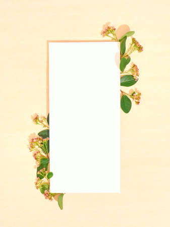 Blank paper with summer flowers. Flat lay, copy space, top view.の写真素材